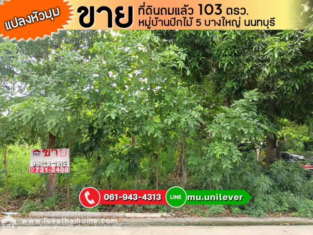 ขายที่ดินถมแล้ว บางใหญ่ ถฉลองราชย์ ร9 หมู่บ้านปีกไม้ 5