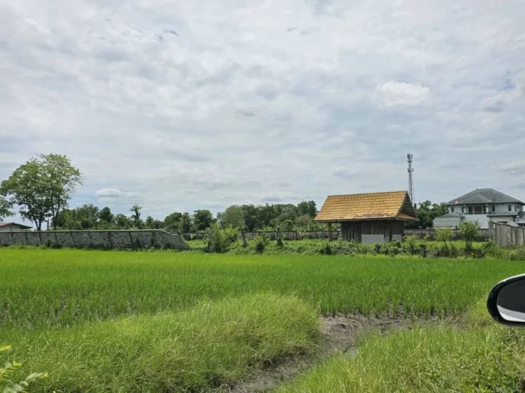 ที่ดินเปล่า ถมแล้วด้วยดินดำ อยู่ในซอยสุวินทวงศ์64 หนองจอก