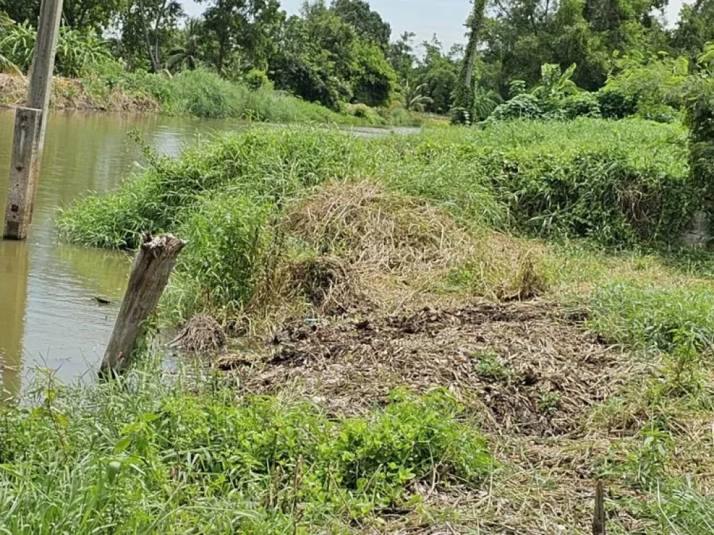 ที่ดินเปล่า ถมแล้วด้วยดินดำ อยู่ในซอยสุวินทวงศ์64 หนองจอก