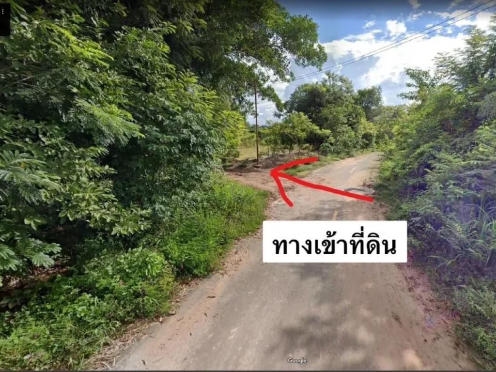 ประกาศขาย ที่ดิน อำเภอพิบูลมังสาหาร จังหวัด อุบลราชธานี จำนวน