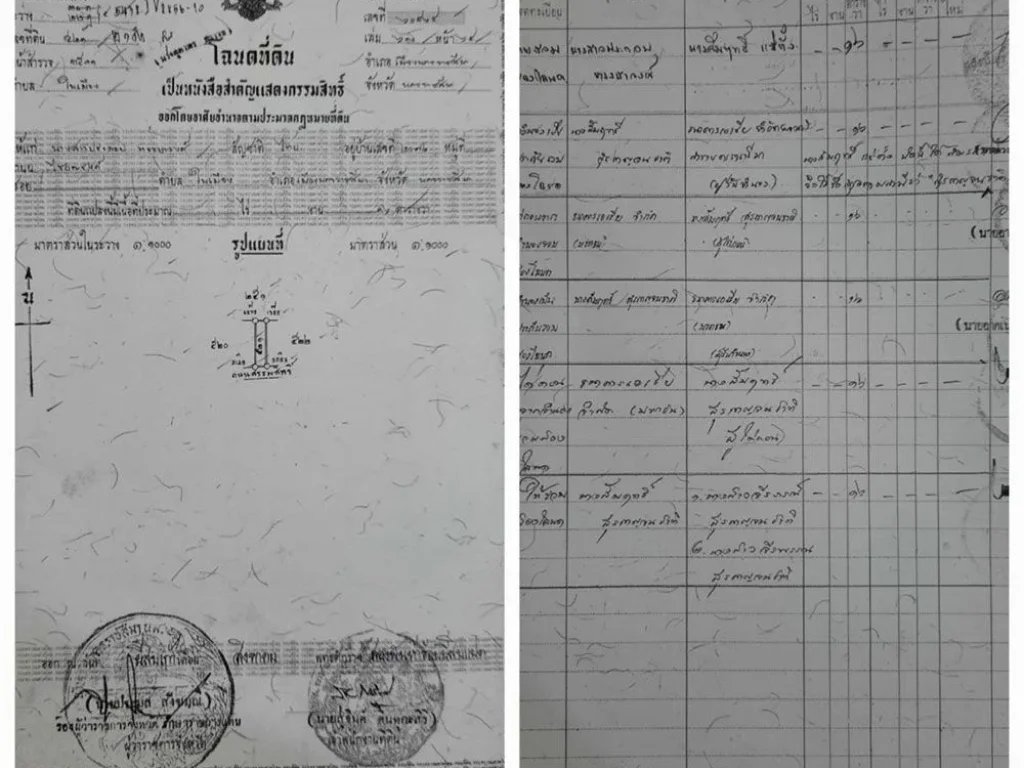 ขายตึก ทั้ง2ห้องทะลุถึงกัน พื้นที่ทั้งหมดต่อ1ชั้น 35ตรว