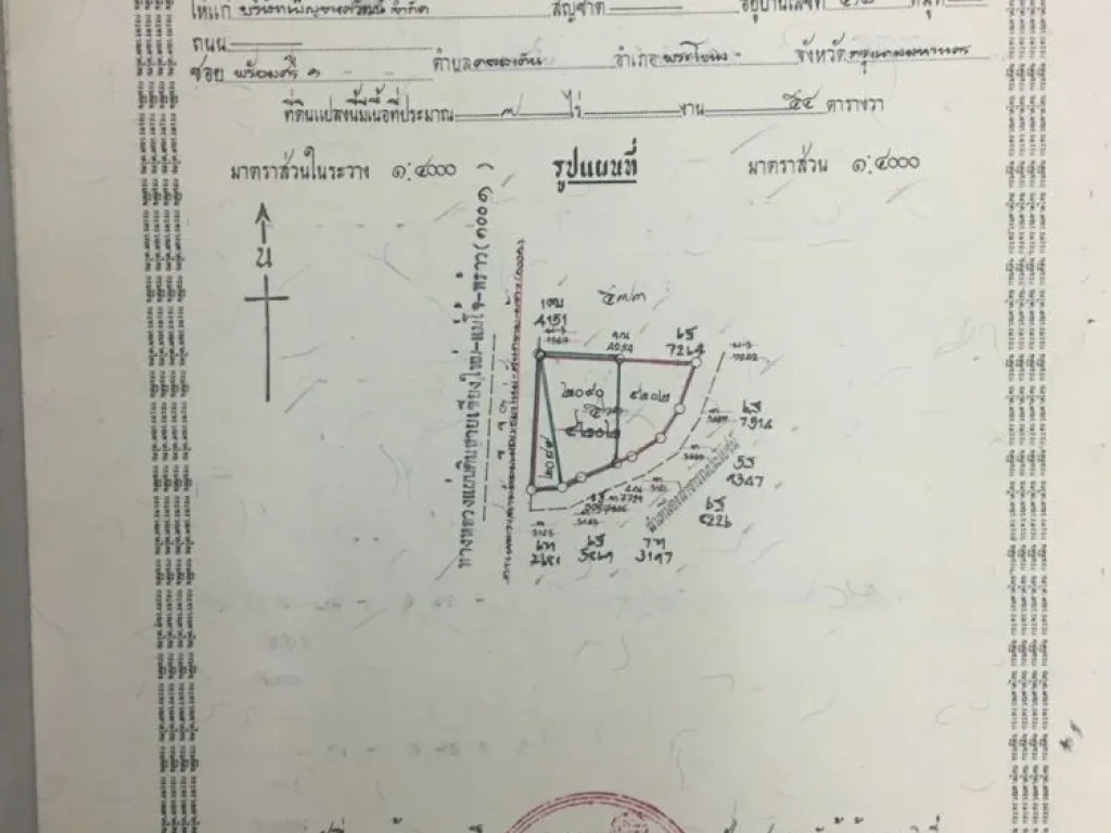 ขายที่เชียงใหม่ติดถนนใหญ่8ไร่ ติดปั๊มปตทเชียงใหม่แม่โจ้2