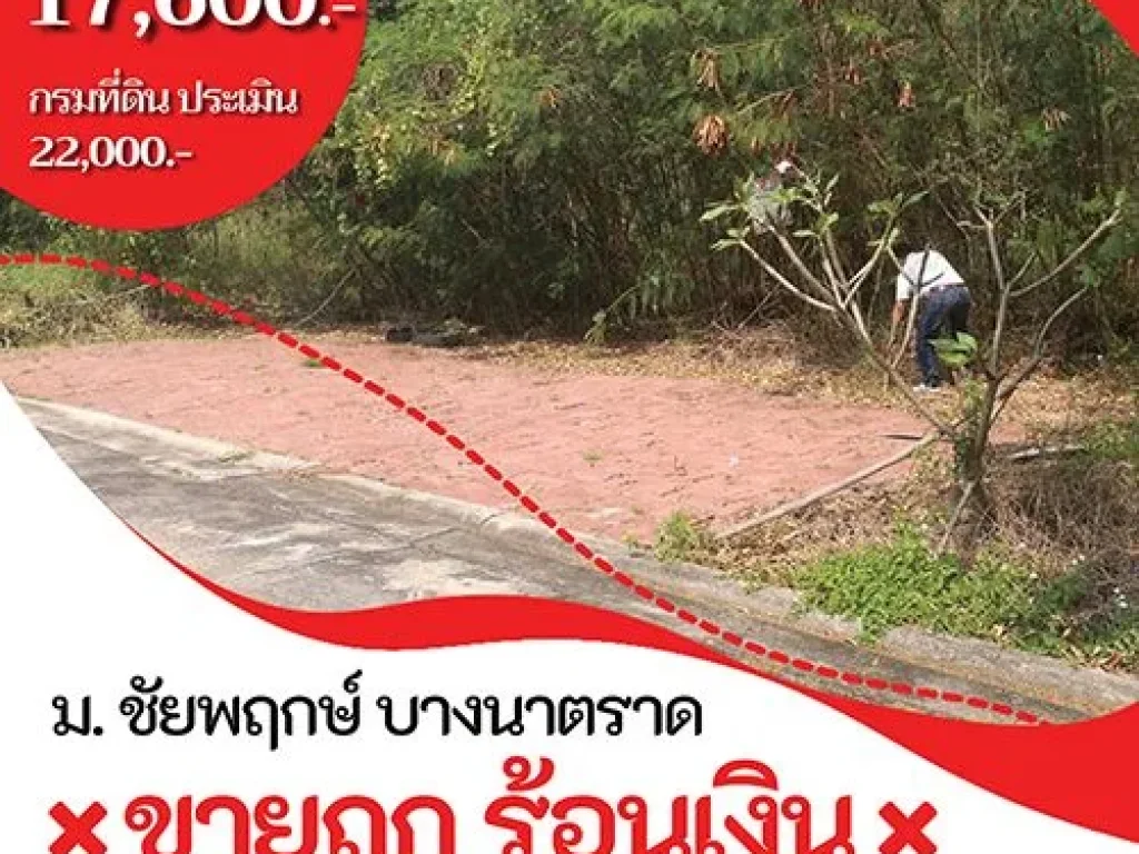 ขายถูก ร้อนเงิน ที่ดิน 102 ตรว ม ชัยพฤกษ์ บางนาตราด กม 18