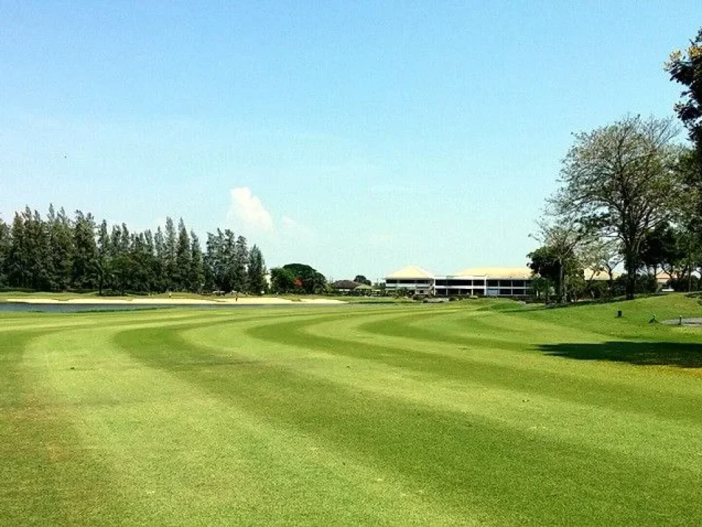 ขายด่วน ที่ดินในสนามกอล์ฟ The Royal Golf amp Country Club