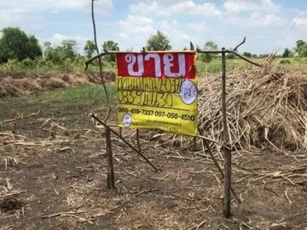 ขายที่ดิน 2-0-17 ไร่ ติดถนน ซคลองห้าตะวันตก 23 คลองหลวง