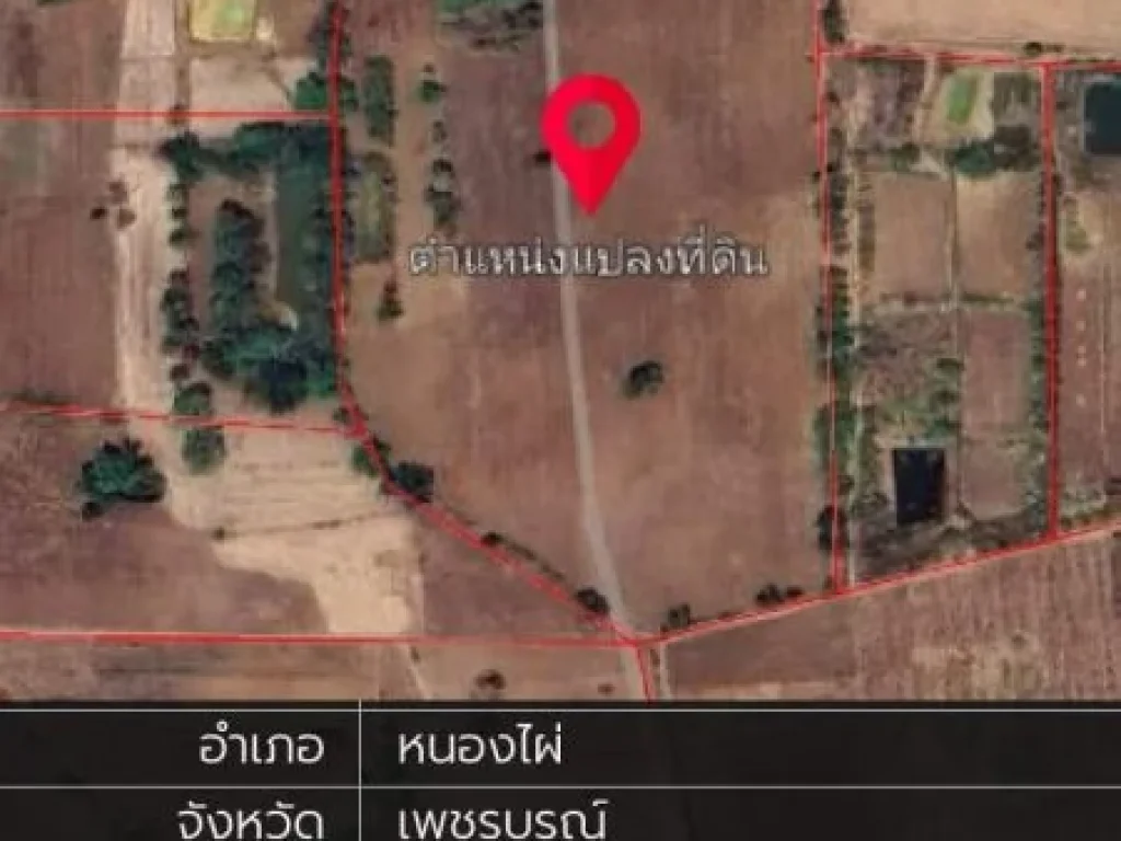 ที่ดินแปลงใหญ่ ขนาด 31 ไร่ ขายถูก อหนองไผ่ เพชรบูรณ์