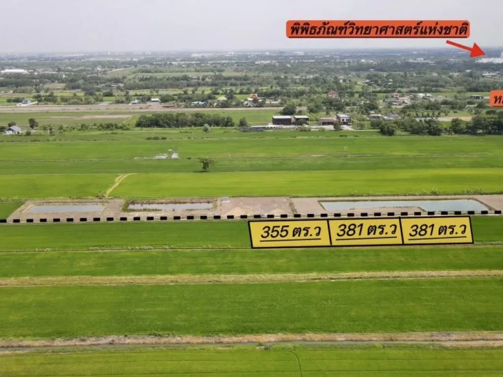 ขายที่ดินคลองหลวง เริ่มต้น 355 ตรว คลองห้า ติดถนนซอยพิมสมบุญ