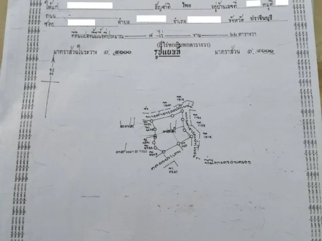 ขายที่ดินสวนทุเรียนสวยๆ 2 แปลง ติดกันรวม 4 ไร่ 2 งาน 65