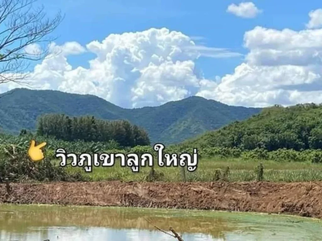 ขายที่ดินทำเลทอง ที่ดินมังกร 200 ตรว ติดเขา ติดน้ำ วิวภูเขา