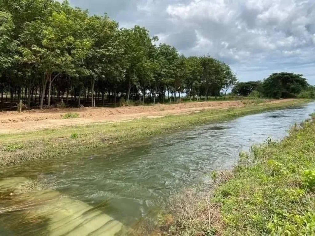 ขายที่ดินทำเลทอง ที่ดินมังกร 200 ตรว ติดเขา ติดน้ำ วิวภูเขา