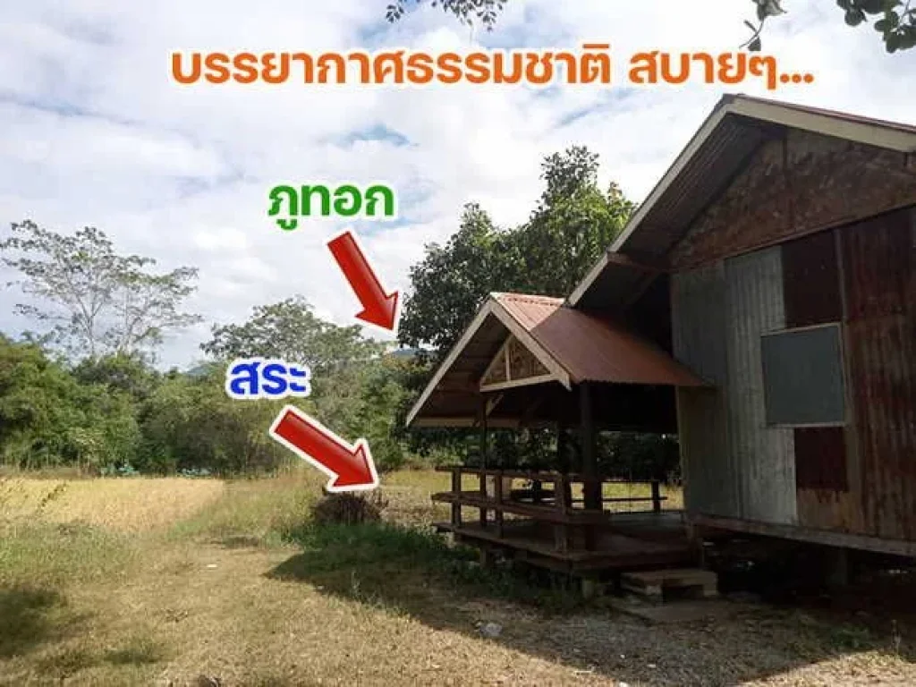 ที่ดินสวยใกล้ภูทอกติดถนนโครงการเลี่ยงเมืองสี่เลนเชียงคานล่าส