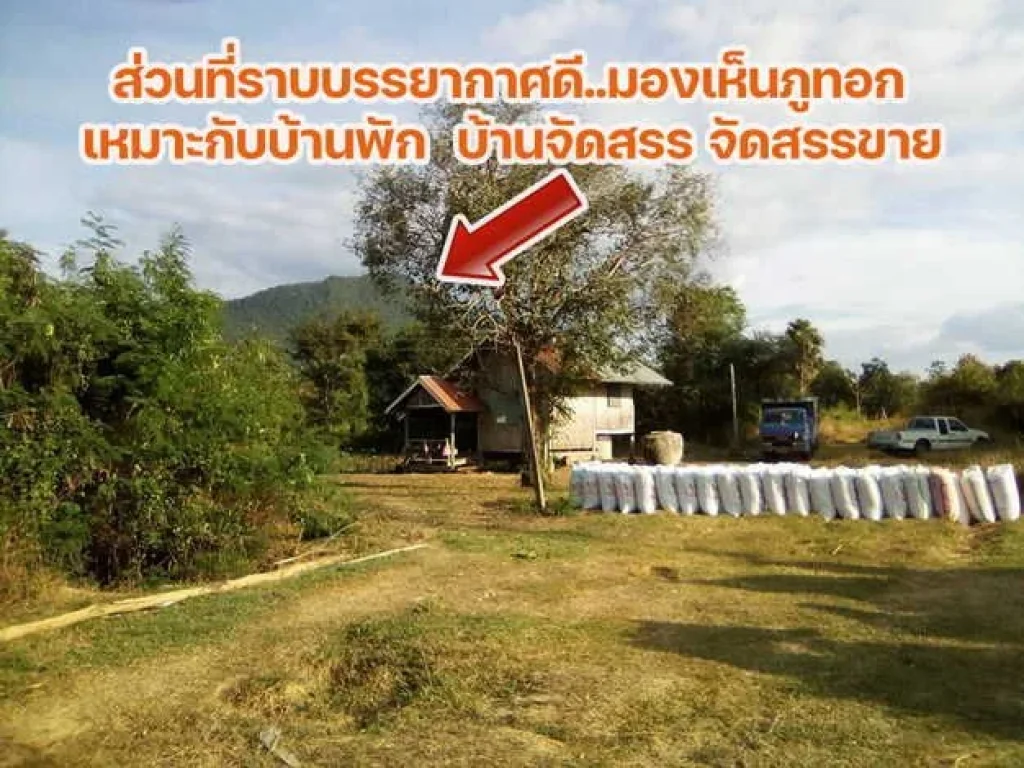 ที่ดินสวยใกล้ภูทอกติดถนนโครงการเลี่ยงเมืองสี่เลนเชียงคานล่าส