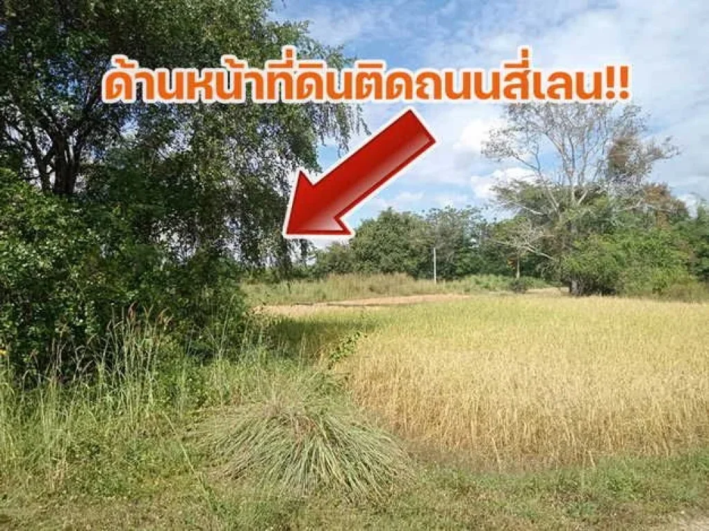 ที่ดินสวยใกล้ภูทอกติดถนนโครงการเลี่ยงเมืองสี่เลนเชียงคานล่าส