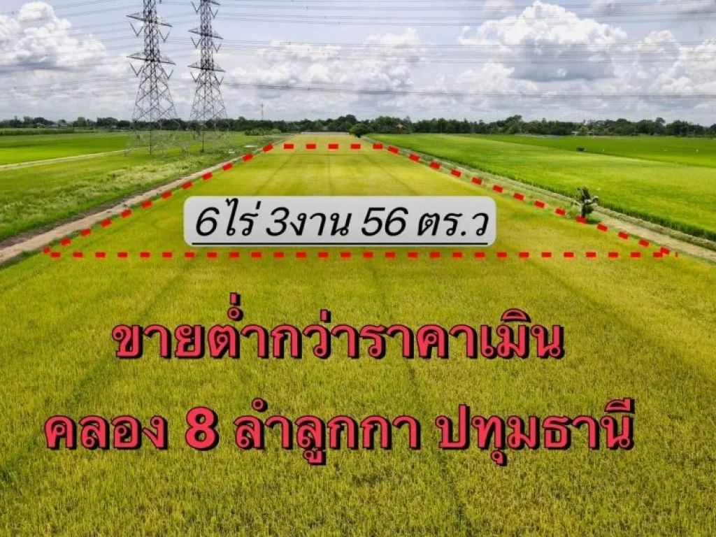 ขายที่ดินลำลูกกา 6 ไร่ คลอง 8 ใกล้ถนนเส้น 3006 - 15 กม