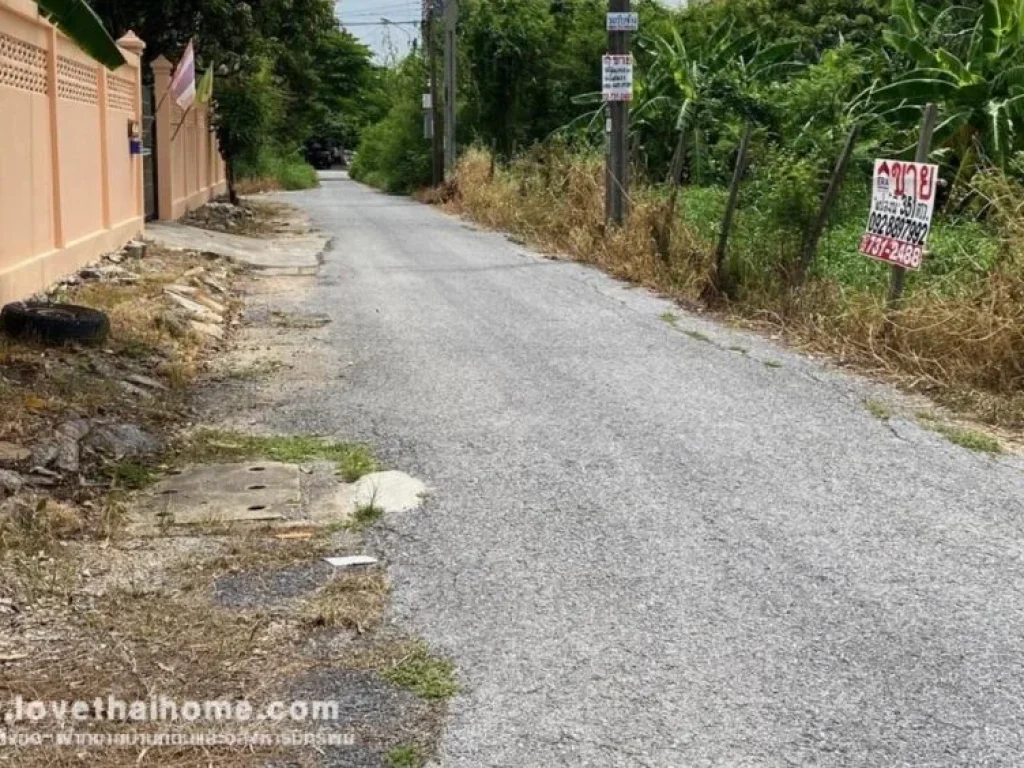 ขายที่ดิน สุขุมวิท705 ซอยจ่าโสด23 ถนนกว้างที่สุดในย่านจ่าโสด