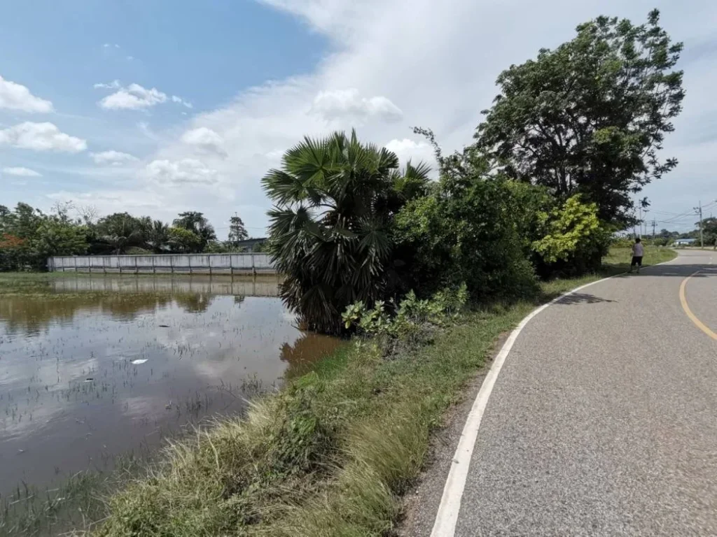 ขายที่ดิน 3ไร่ ติดถนนเหมาะกับการทำบ้านสวน บ้านจัดสรร เงียบสงบ