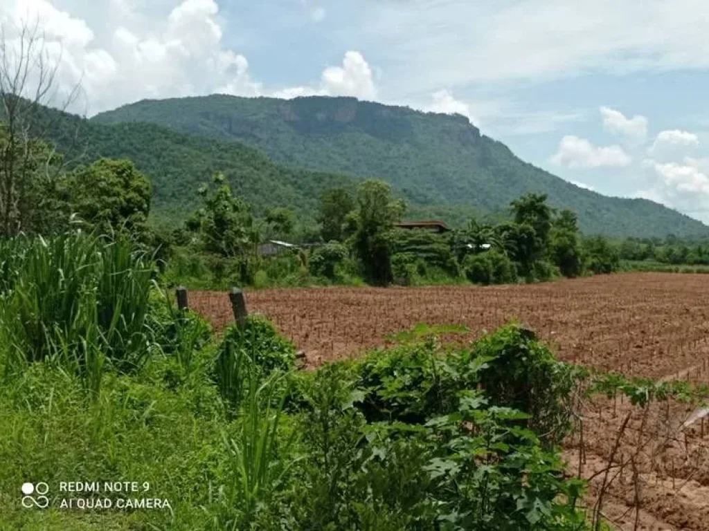 ขายที่ดินติดถนนสายเอเซีย วิวสวย อำเภอไทรโยค กาญจนบุรี