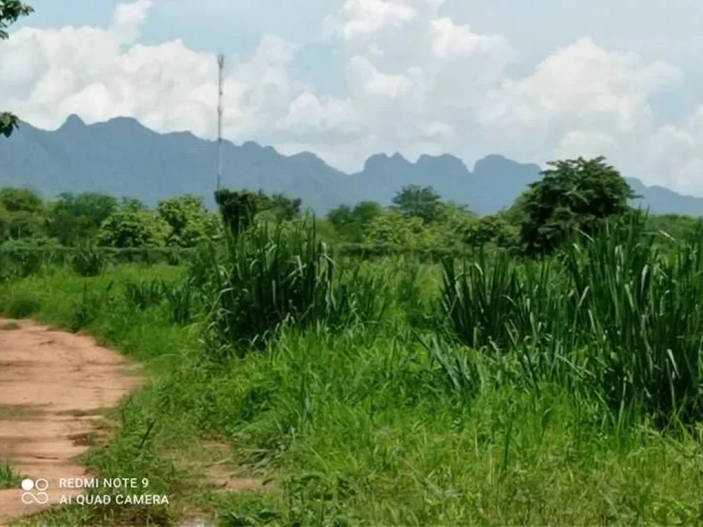 ขายที่ดินติดถนนสายเอเซีย วิวสวย อำเภอไทรโยค กาญจนบุรี