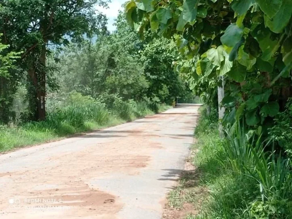 ขายที่ดินติดถนนสายเอเซีย วิวสวย อำเภอไทรโยค กาญจนบุรี