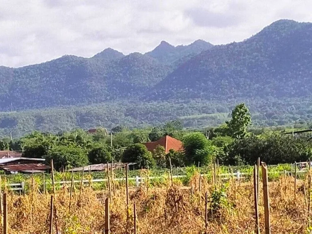 ขายที่ดินพื้นงามเป็นโฉนดทั้งหมดติดแม่น้ำ อำเภอไทรโยค