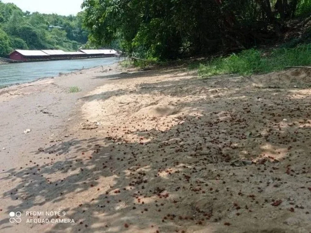 ขายที่ดินสวยติดแม่น้ำมีหาดทราย อำเภอไทรโยค กาญจนบุรี