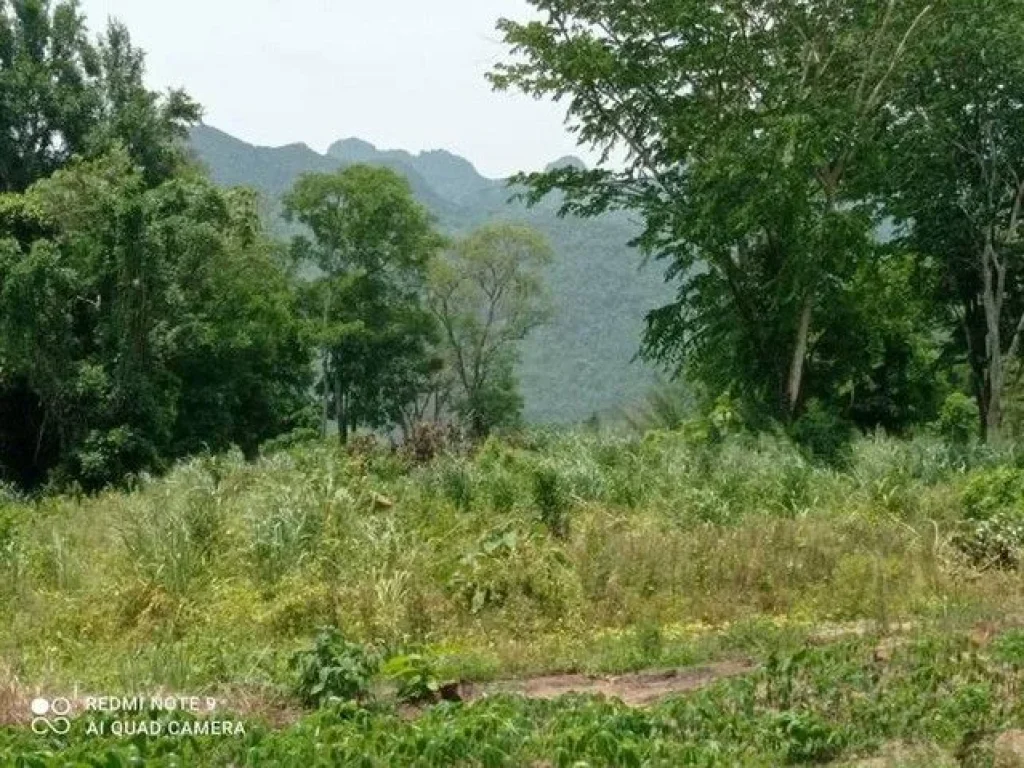 ขายที่ดินสวยติดแม่น้ำมีหาดทราย อำเภอไทรโยค กาญจนบุรี