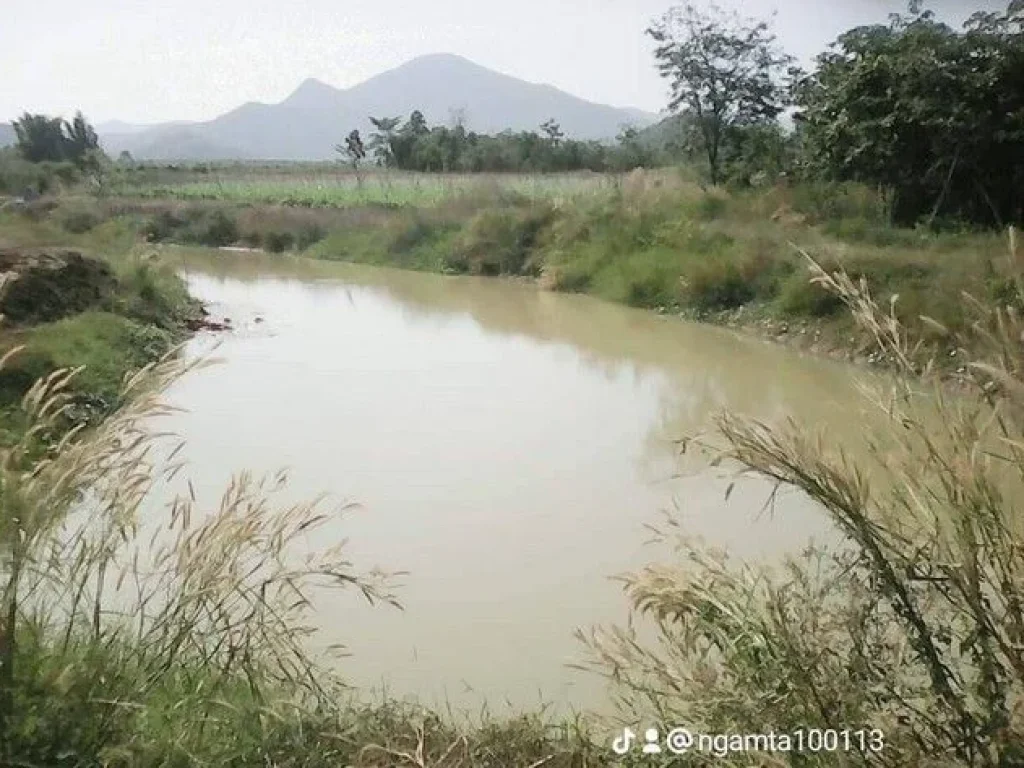 ขายที่ดินทำเลดี อยู่ใกล้แหล่งชุมชน ตำบลทุ่งหลวง อำเภอปากท่อ