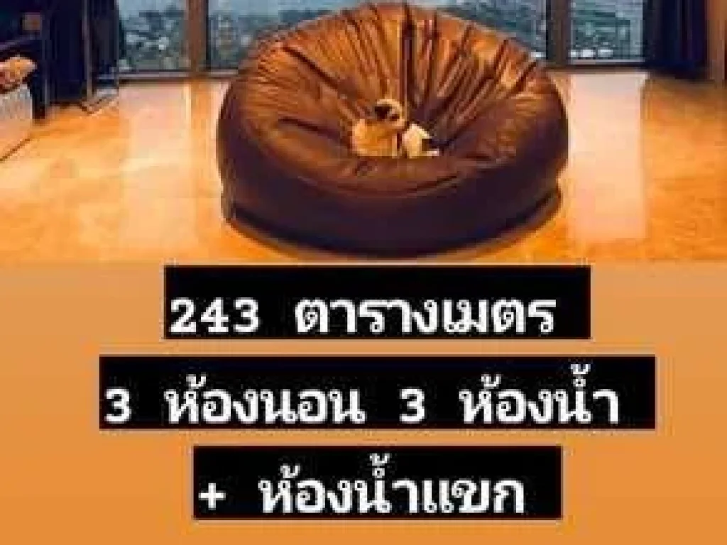 ขายPenthouseเลี้ยงสัตว์ได้ The Panoเดอะพาโน พระราม 3 pet