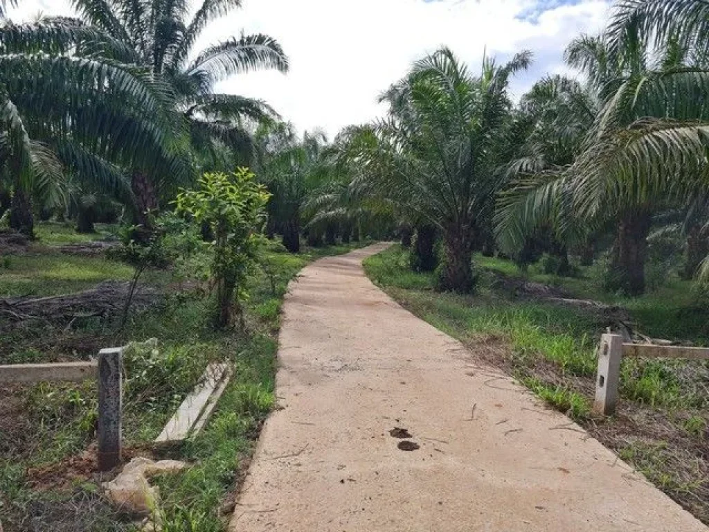 ขายที่ดินทำเลดี อยู่ติดแหล่งน้ำติดถนนใหญ่ อำเภอเมือง สระแก้ว