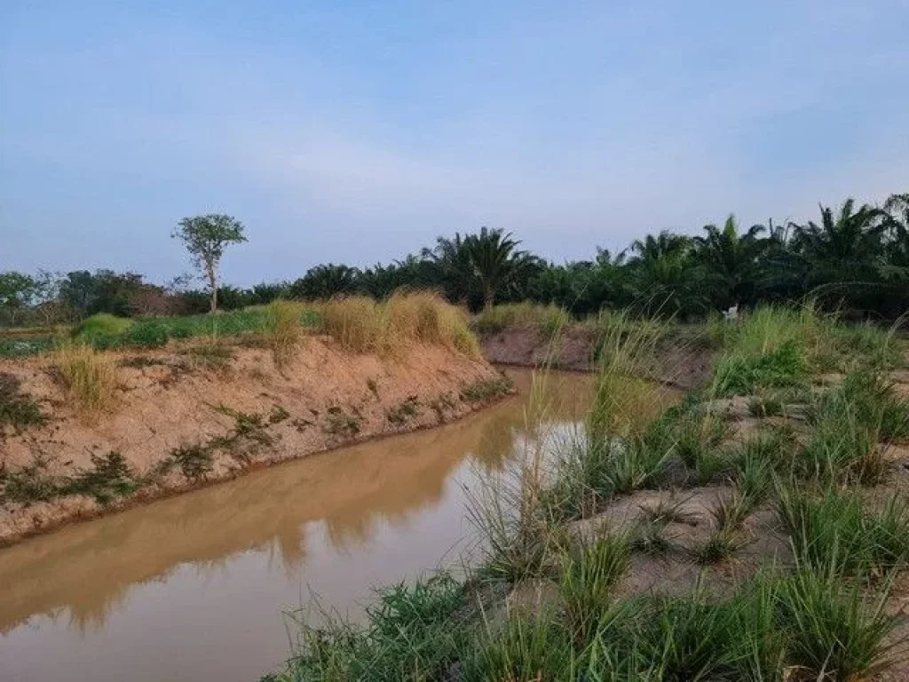 ขายที่ดินทำเลดี อยู่ติดแหล่งน้ำติดถนนใหญ่ อำเภอเมือง สระแก้ว