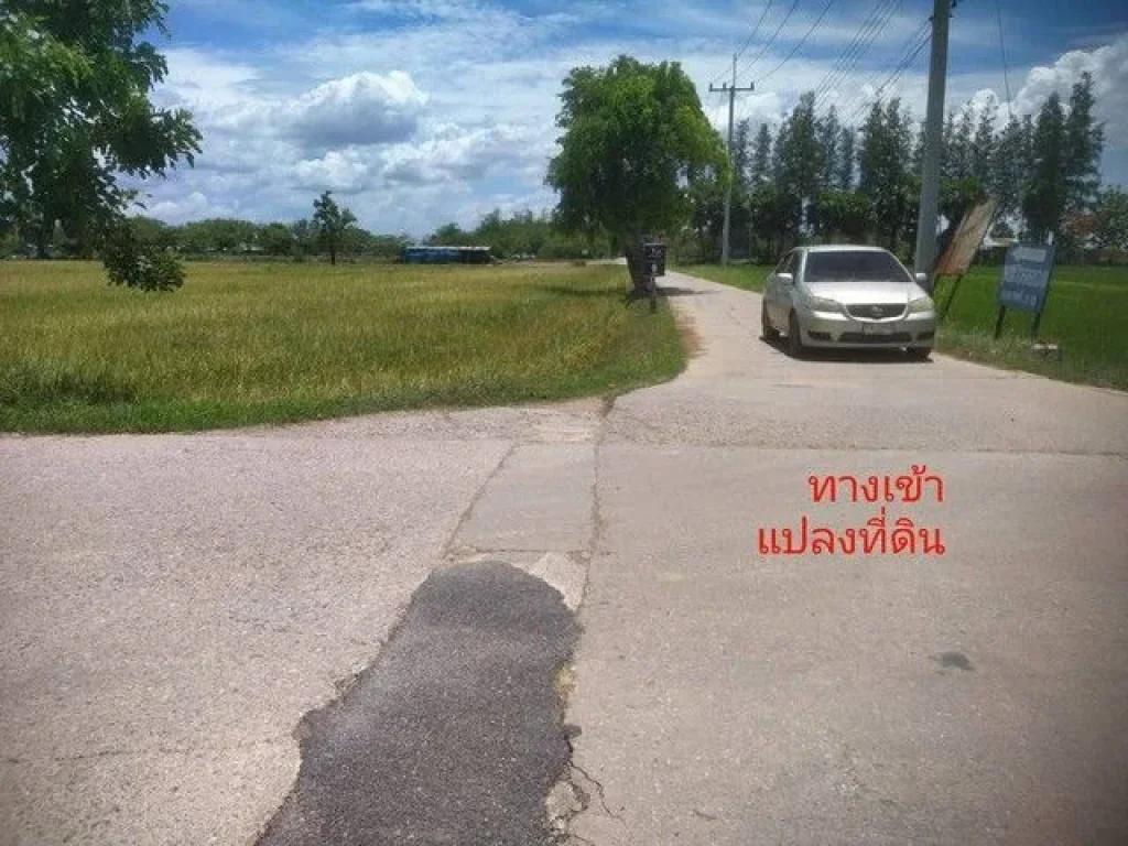 ขายด่วน ที่ดิน 28-3-19ไร่ บ้านสมอดาน ตหนองพลับอเมืองเพชรบุ