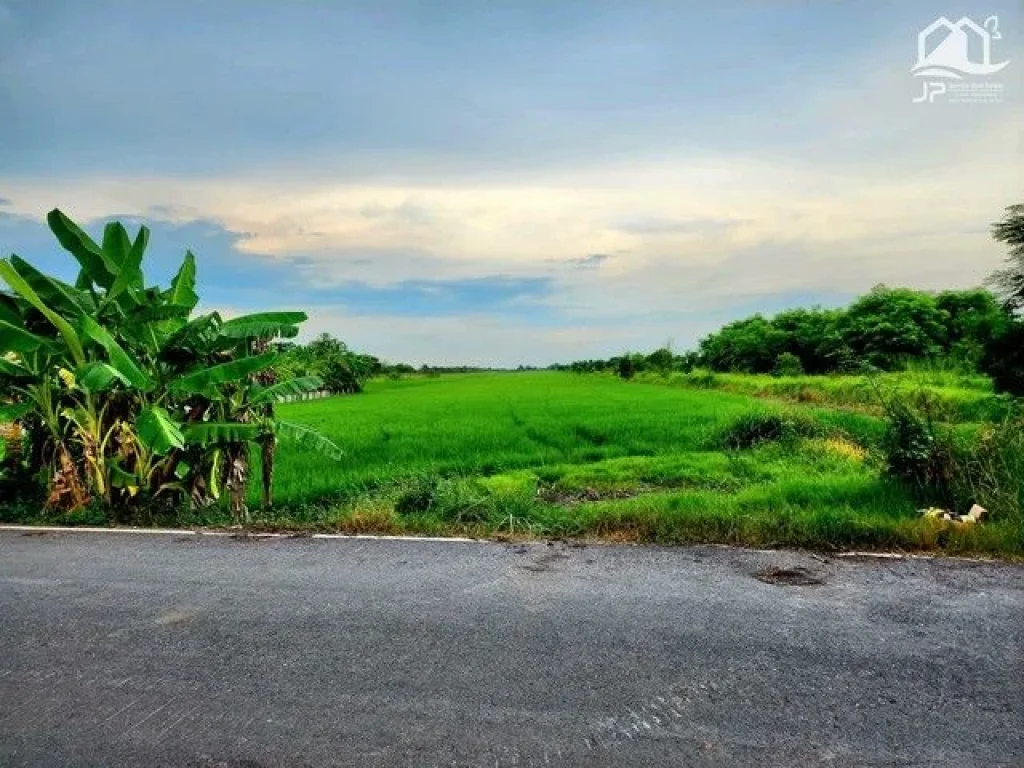 ขายที่ดินติดถนนลาดยางใกล้มศว คลองศีรษะกระบือ องครักษ์ 25 ไร่