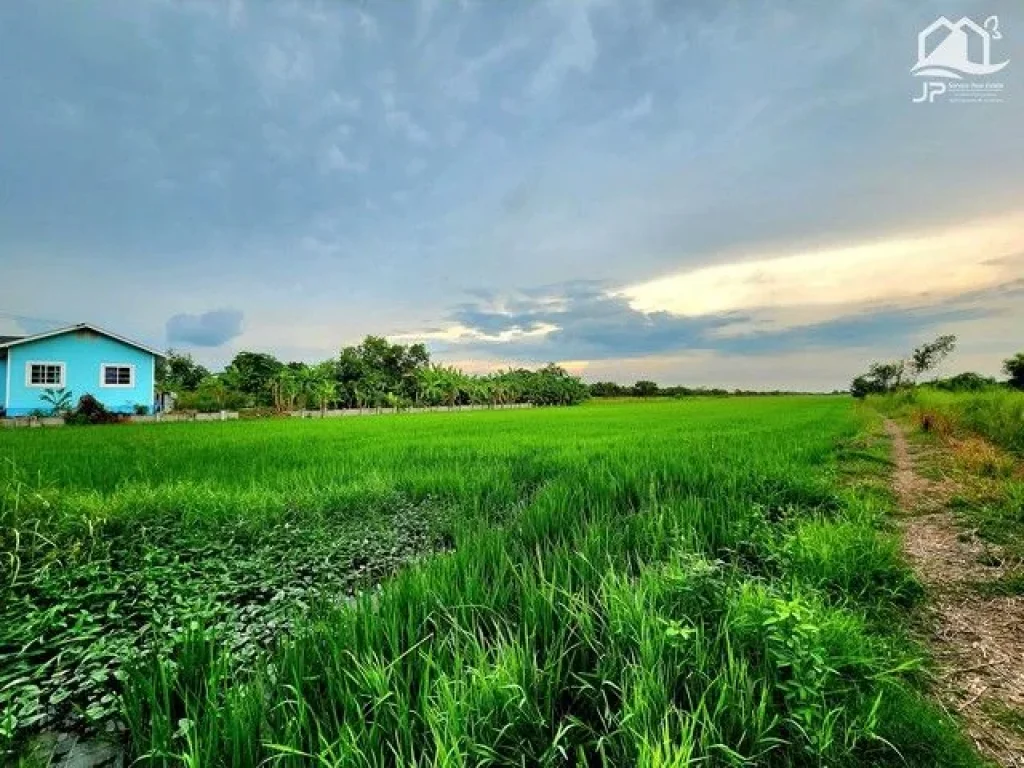 ขายที่ดินติดถนนลาดยางใกล้มศว คลองศีรษะกระบือ องครักษ์ 25 ไร่