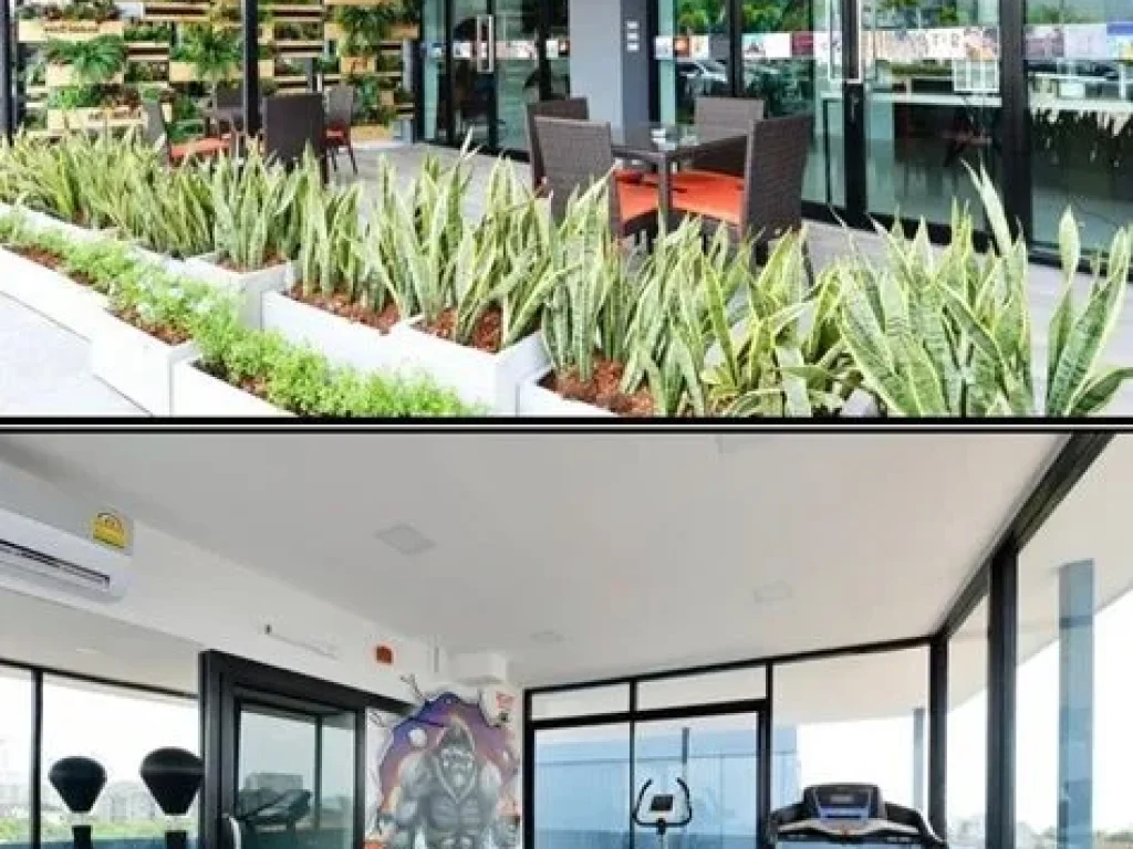 โรงแรมให้เช่า ตลาดกลางรัตนากร นานาชาติ บูรพาพัฒนศาสตร์ Lotus