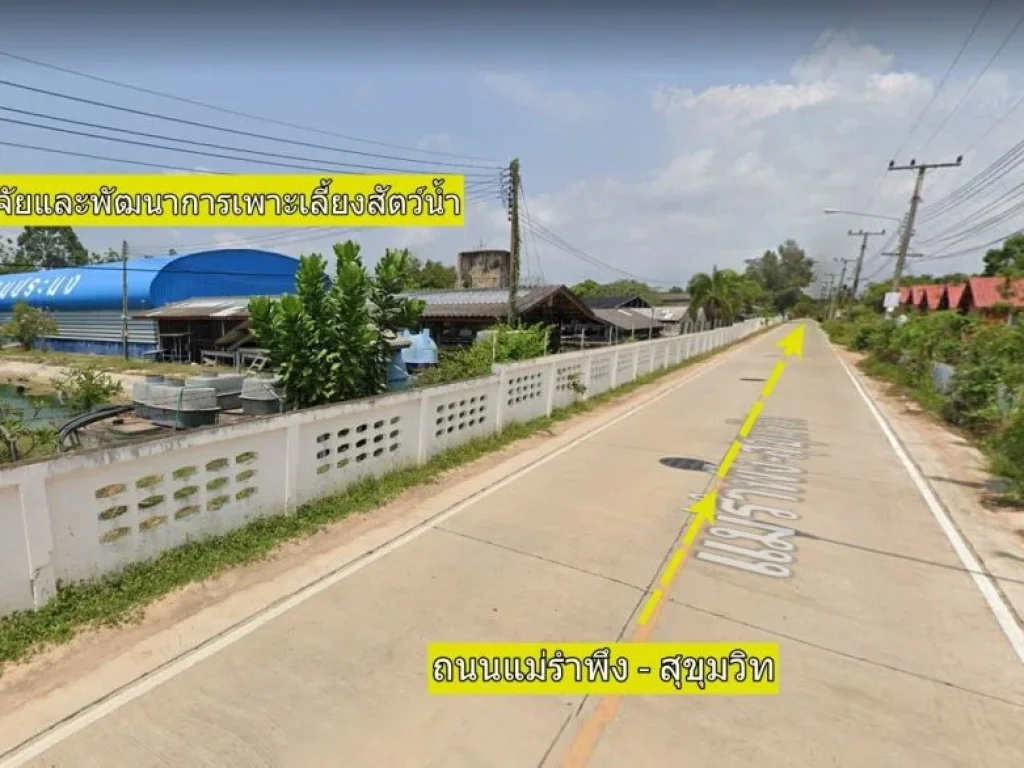 ขายที่ดิน 119 ตรว ห่างทะเล 900 m และถนนสุขุมวิท 800 m