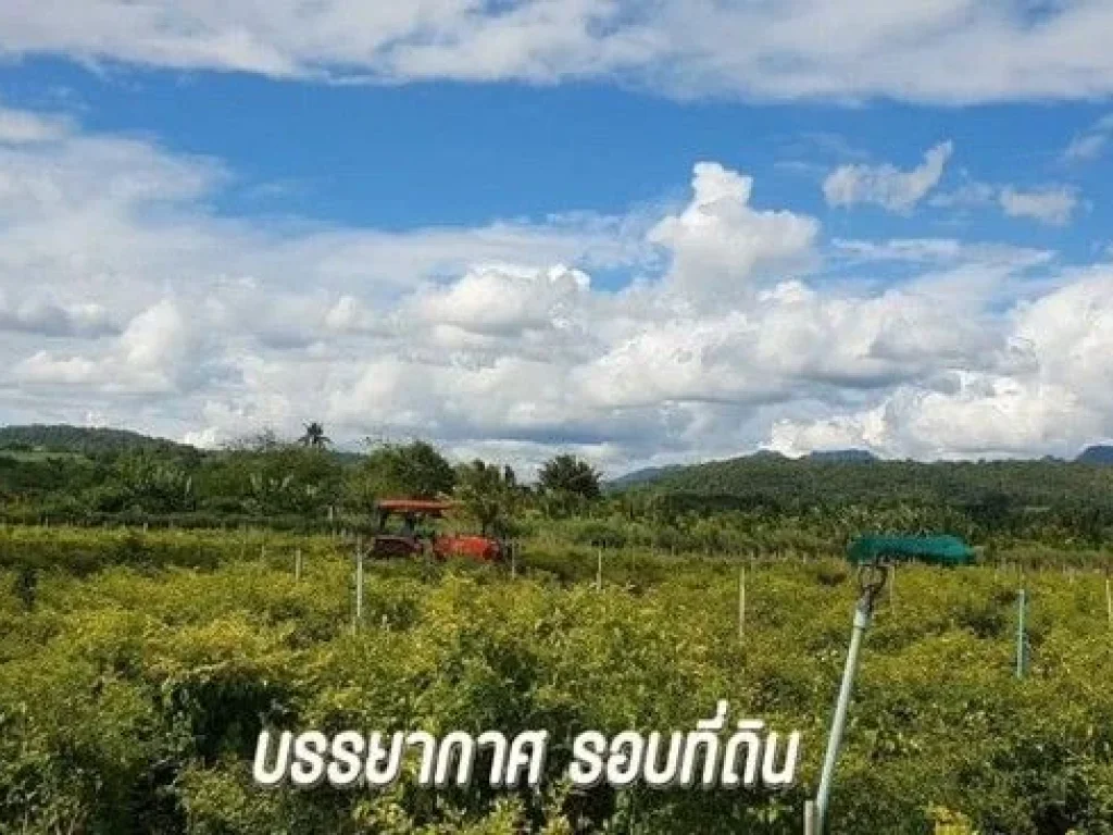 ขายที่ติดน้ำ วิวดอยเชียงดาว จังหวัดเชียงใหม่ ขนาดที่ดิน 16