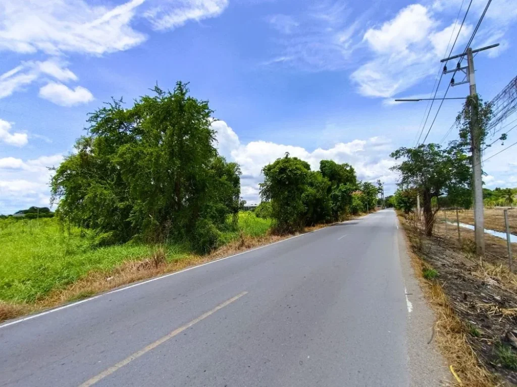 ขาย ที่ดิน 1 ไร่ ตระแหง อลาดหลุมแก้ว ปทุมธานี ติดถนนเทศบาล