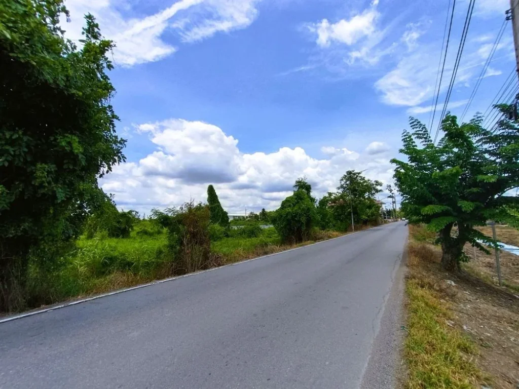 ขาย ที่ดิน 1 ไร่ ตระแหง อลาดหลุมแก้ว ปทุมธานี ติดถนนเทศบาล