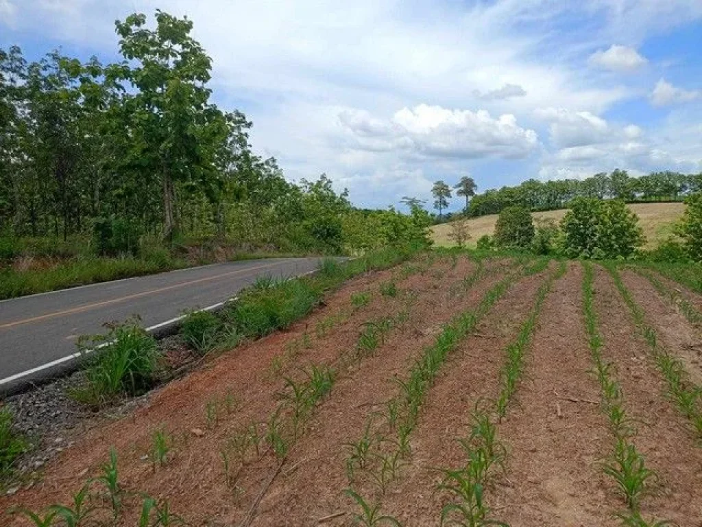 ทุกการเริ่มต้นต้องมีที่ดินที่ดี แปลงที่ดิน 7 ไร่