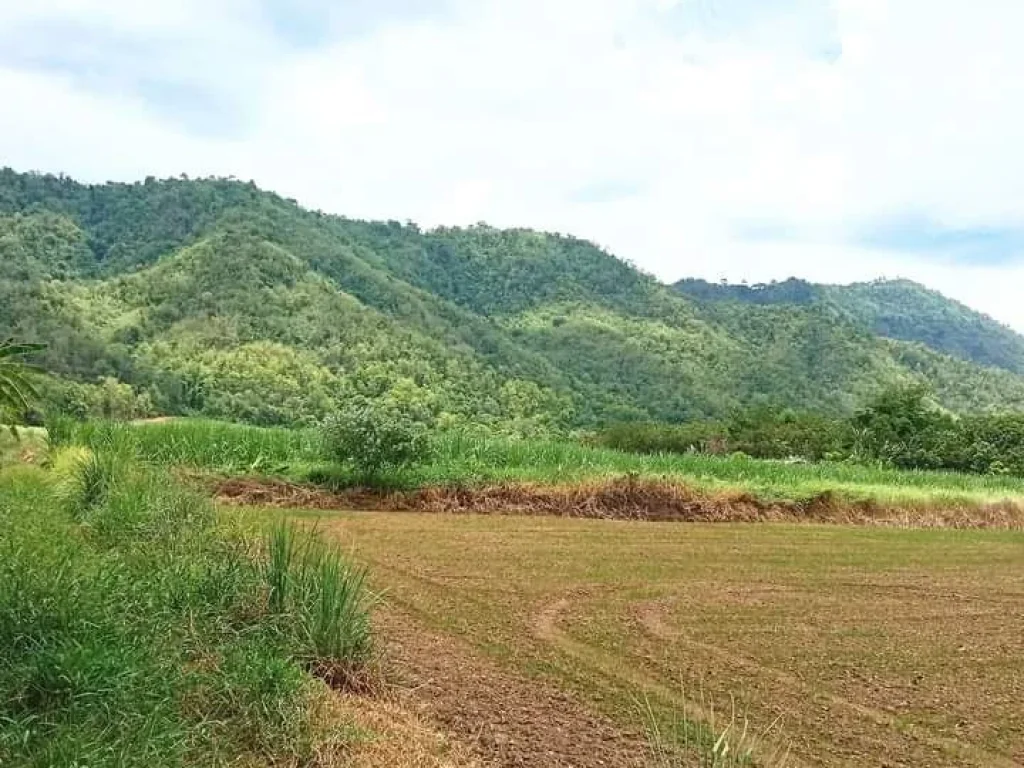 ที่ดินเปล่า หน้าติดถนนสายหลัก 117 หลังติดวิวดอยสวย