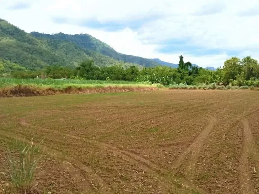 ที่ดินเปล่า หน้าติดถนนสายหลัก 117 หลังติดวิวดอยสวย