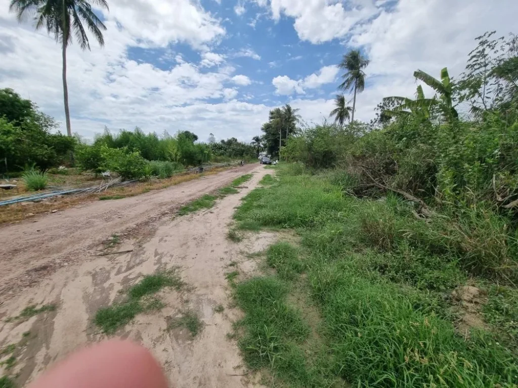 ขายที่ดิน 19 ไร่ ติดถนนป่าละอู มีลำธารไหลผ่าน บรรยากาศดี