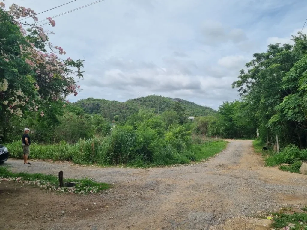 ขายที่ดิน 77 ตรว บริเวณ black mountain ติดถนนป่าละอู