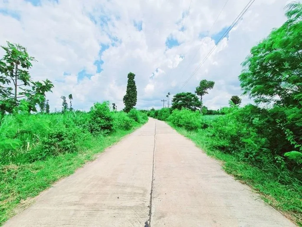 ที่ดินแปลงใหญ่ ติดถนนคอนกรีต เหมาะทำเกษตร น้ำ-ไฟถึง