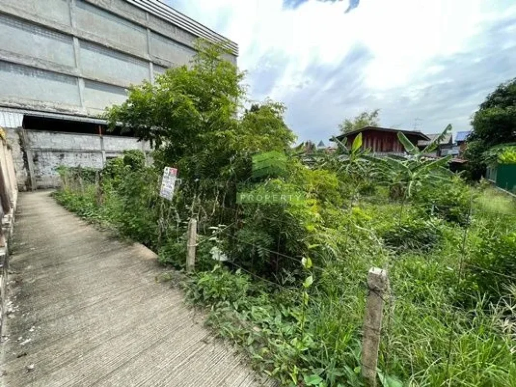 ขายที่ดินซอยวัดศรีเรืองบุญ ปลายบาง บางกรวย นนทบุรี เนื้อที่