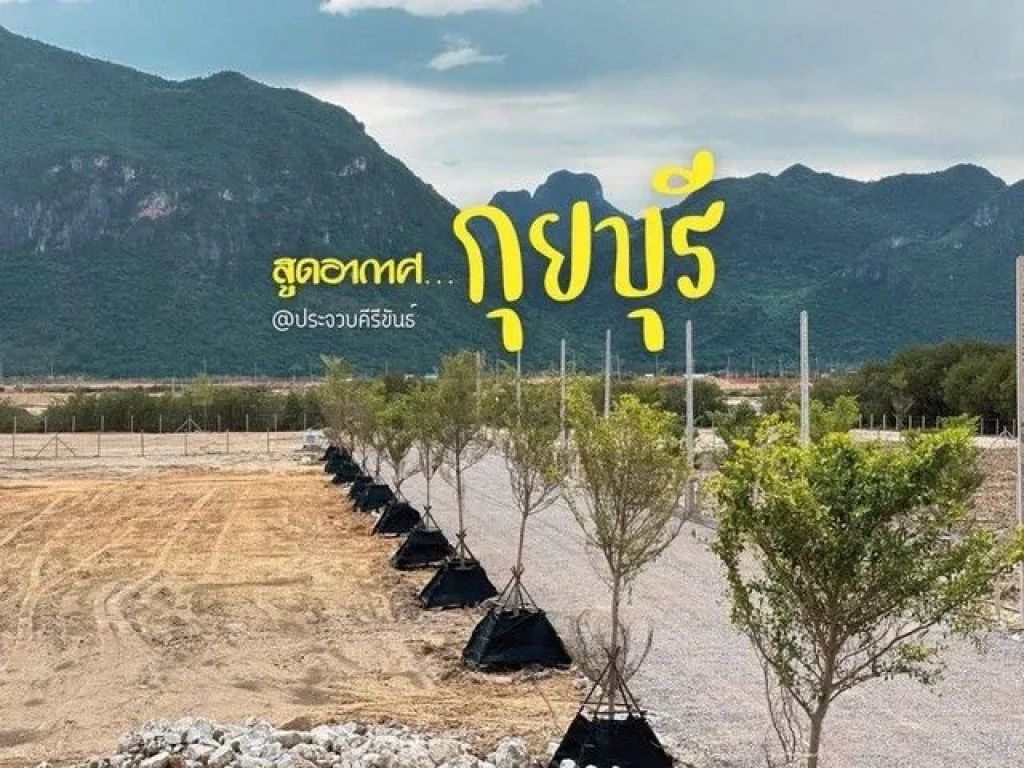 ขายที่ดินคุ้งโตนด อำเภอกุยบุรี จังหวัดประจวบคีรีขันธ์