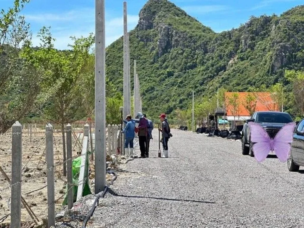 ขายที่ดินคุ้งโตนด อำเภอกุยบุรี จังหวัดประจวบคีรีขันธ์