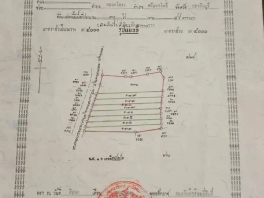 ที่เปล่า 30ไร่ เหมาะทำที่อยู่อาศัย บ้านจัดสรร ใกล้นิคม304