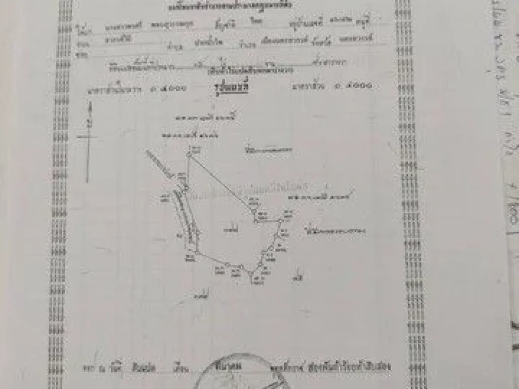 ขายที่ดินต่อรองได้ค่าโอนเจ้าของจ่าย อำเภอหล่มเก่า