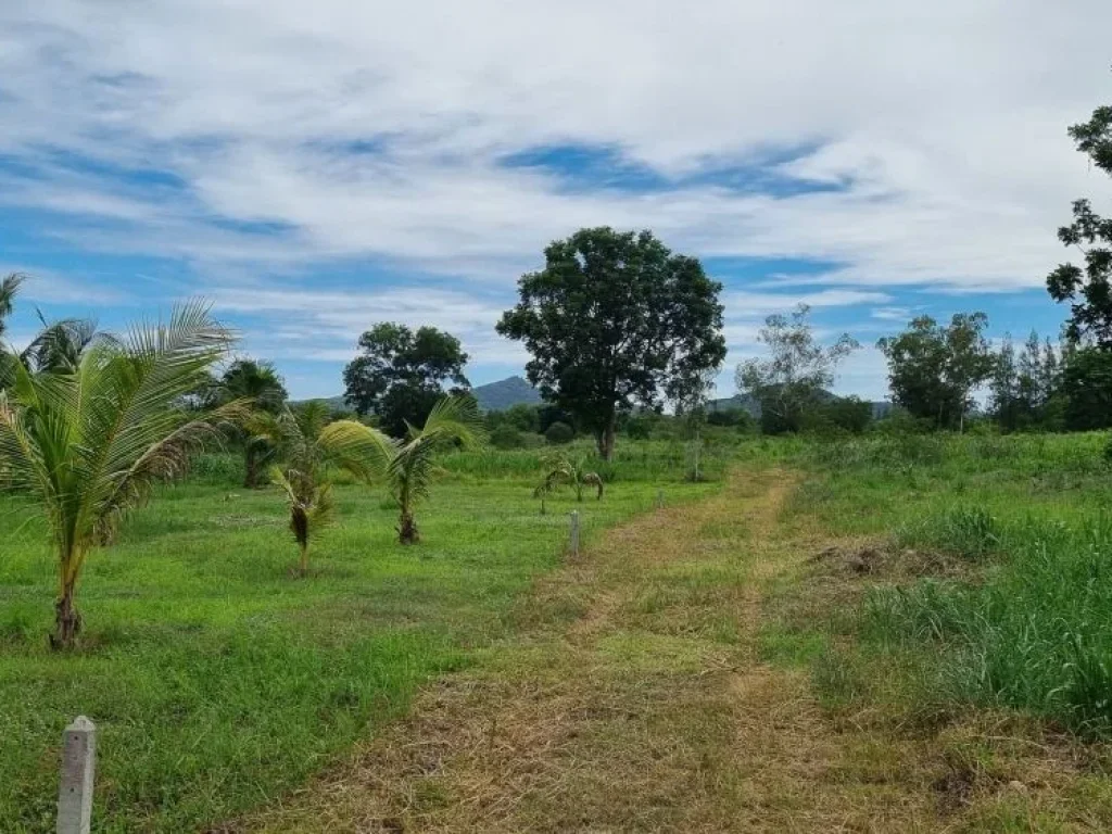 ขายที่ดิน 12 ไร่ อุดมสมบูรณ์ด้วยทรัพยกรธรรมชาติ ติดถนนป่าละอู